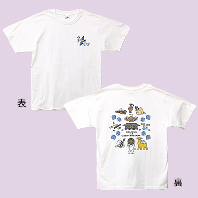 Ｔシャツ